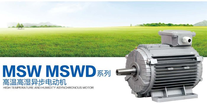 MSW MSWD系列高溫高濕異步電動機(圖1)